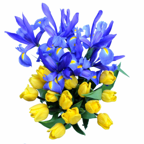 Tulip & Iris Bouquet Perspective: front