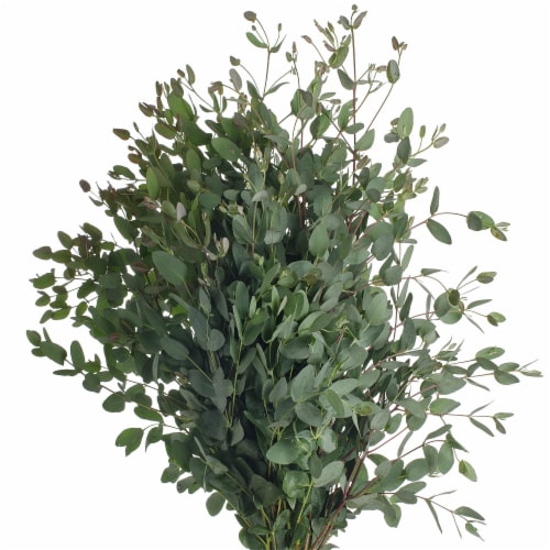 Sun Valley Floral Gunni Eucalyptus Perspective: front