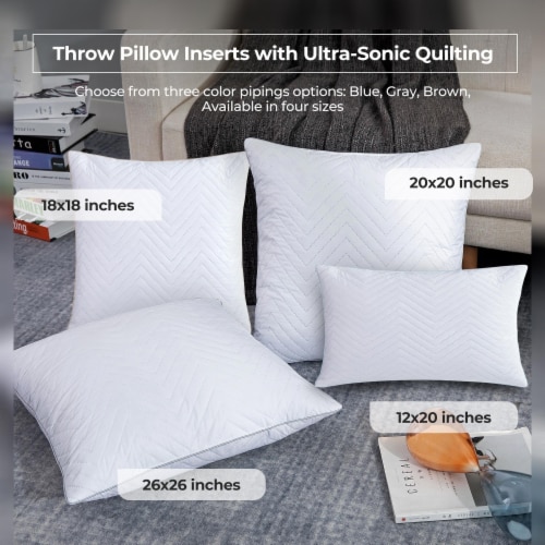 Outdoor pillow sales inserts 18x18