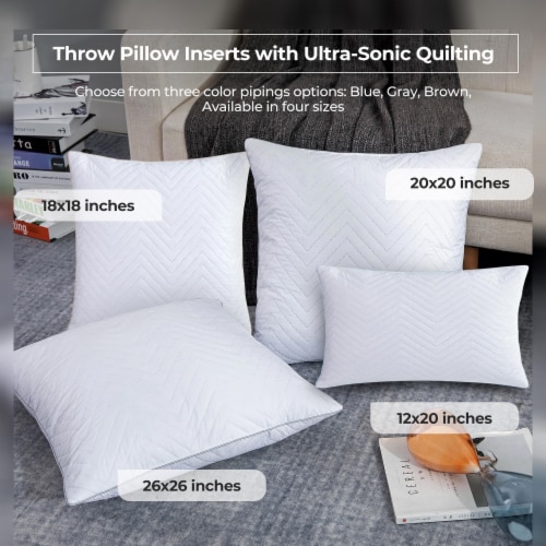 2 Pack Feather Throw Pillow Inserts Ultrasonic Quilting 20 20