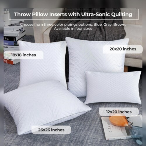 2-Pack Feather Throw Pillow Inserts Ultrasonic Quilting, 26*26