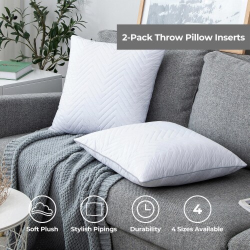 2 Pack - Throw Pillow Inserts - All Sizes Available