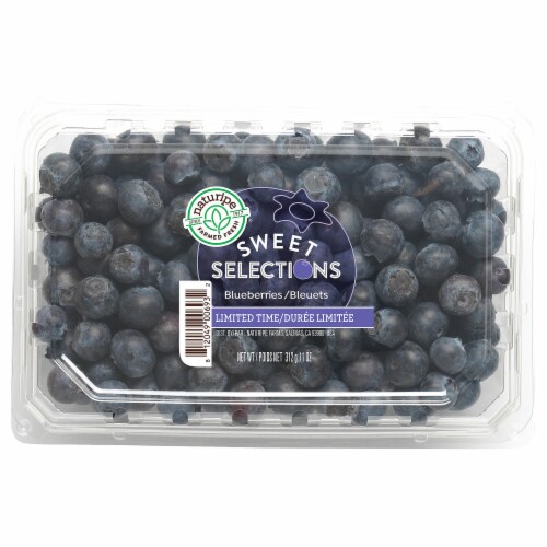 Naturipe Sweet Selections Blueberries Perspective: front