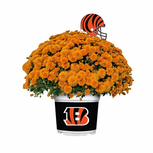 flowers for bengals