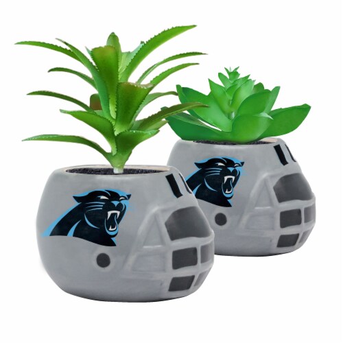 NFL Carolina Panthers Team Pride Mini Faux Succulents in Ceramic Helmet Planters Perspective: front