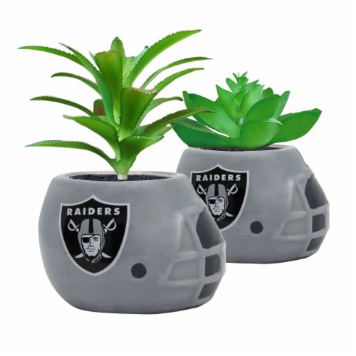 NFL Las Vegas Raiders Team Pride Mini Faux Succulents in Ceramic Helmet Planters Perspective: front