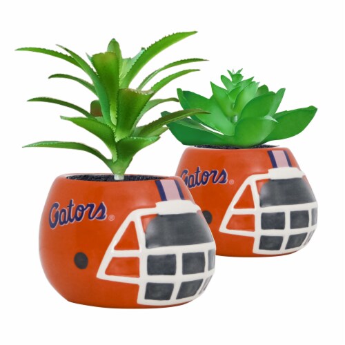 Florida Gators Team Pride Mini Faux Succulents in Ceramic Helmet Planters Perspective: front