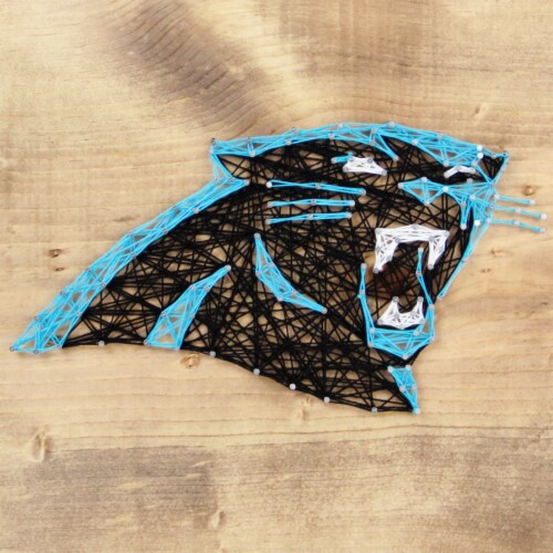 carolina panthers team shop