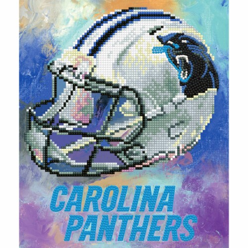 carolina panthers store near me