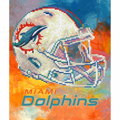 official grocery store of the miami dolphins