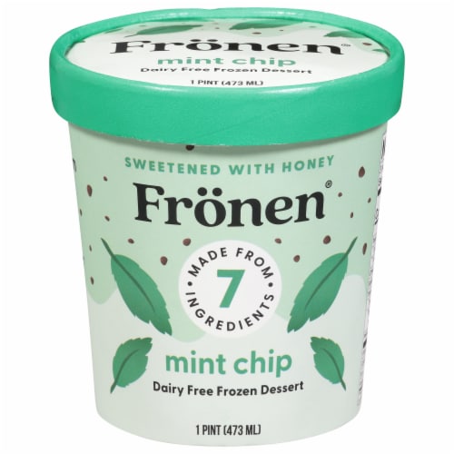 Fronen Dairy Free Mint Chip Frozen Dessert Pint Perspective: front