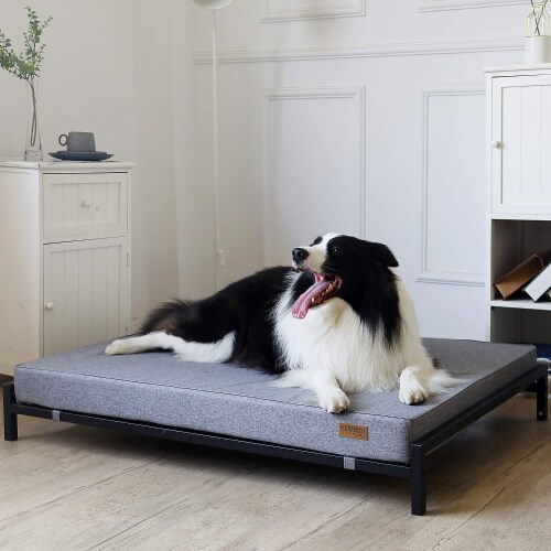 Elevated Indoor/Outdoor Dog Bed with Foam Mattress - Modern Style