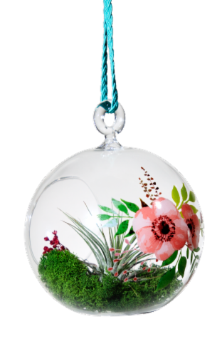 LiveTrends Loving Touch Hanging Glass Globe Terrarium Perspective: front