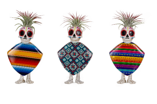 Fiesta Skeletons Tillandsia in Poly-Resin Planter - Assorted Perspective: front