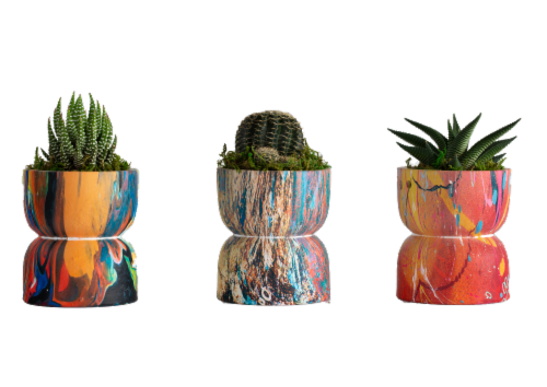 LiveTrends Yo-Yo Plant - Assorted Perspective: front