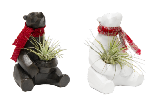 Holiday Bear Air Planter Succulent Perspective: front