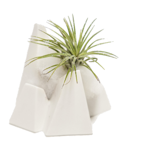Lonantha Air Plant in Ice Mountain Planter Perspective: front