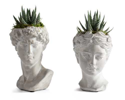 LiveTrends When in Rome Succulents - Assorted Perspective: front