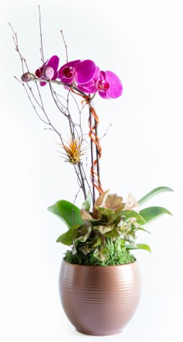 LiveTrends Bronze Orchid Garden (Approximate delivery is 2-5 days) Perspective: front