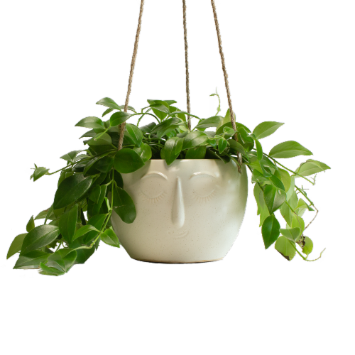 Assorted Foliage with Luna Pot Perspective: front