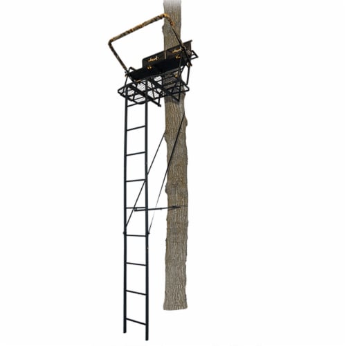 Big dog 2 sales man ladder stand