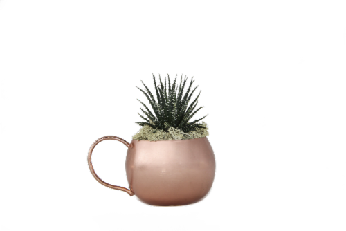 LiveTrends Moscow Mule Perspective: front