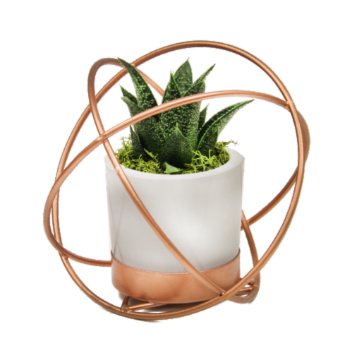 Copper Vortex Potted Plant Perspective: front
