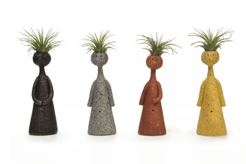 Thinkers Potted Succulents Perspective: front