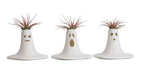 LiveTrends The Scream Porcelan Potted Tillandsia Plants Perspective: front