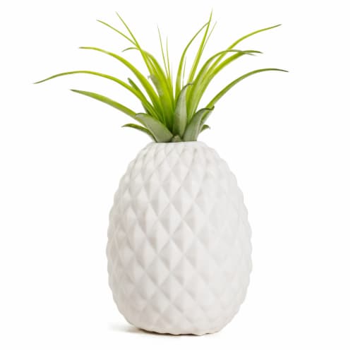 LiveTrends Pineapple Planter Perspective: front