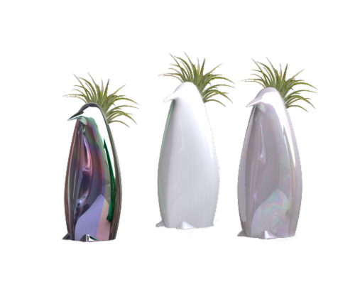 LiveTrends Royal Penguin Succulent Perspective: front