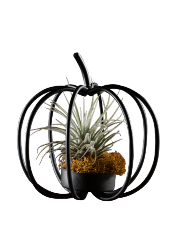 Wire Pumpkin Plant Holder - Black Perspective: front