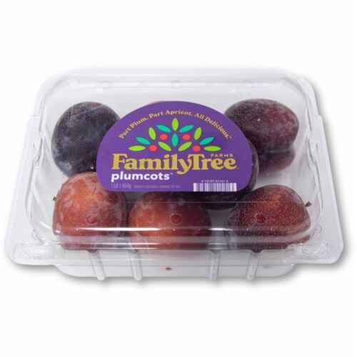 Plumcots Perspective: front