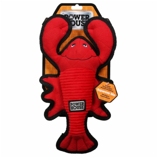 Power House Lobster Dog Toy Perspective: front