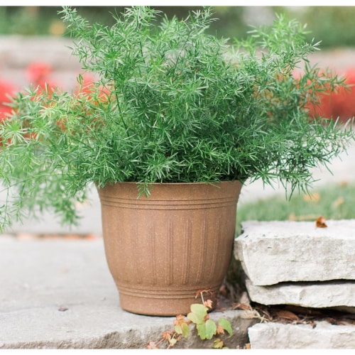 Bloem Colonnade Wood Resin Planter 16