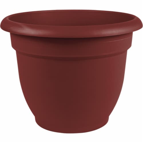 Bloem Ariana 10 In. Plastic Self Watering Burnt Red Planter AP1013 Perspective: front