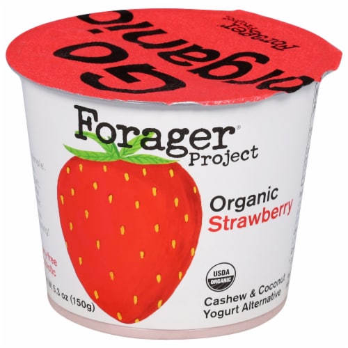Forager Project Dairy-Free Organic Probiotic Strawberry Cashew & Coconut Yogurt Alternative 5.3 oz Perspective: front