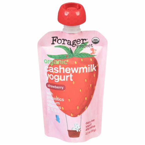 Forager Project® Strawberry Kids Dairy Free Cashew Milk Yogurt Pouch