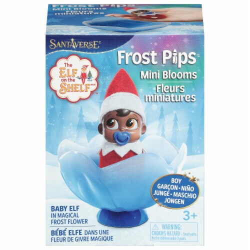 Elf On The Shelf Frost Pip - Brown Eyed Boy Perspective: front