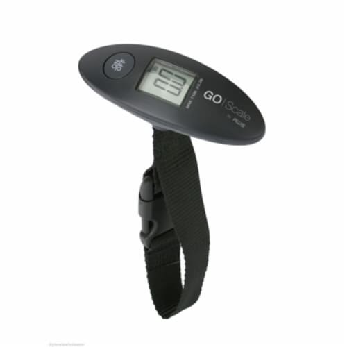 Aws GO-110 Hanging Scale Perspective: front