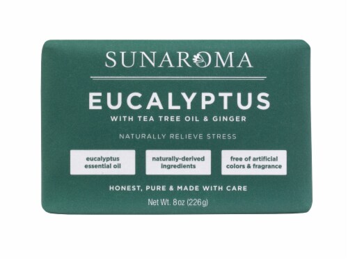 Sunaroma Eucalyptus with Tea Tree Oil & Ginger Bar Soap Perspective: front