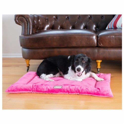 Armarkat pet bed mat sales