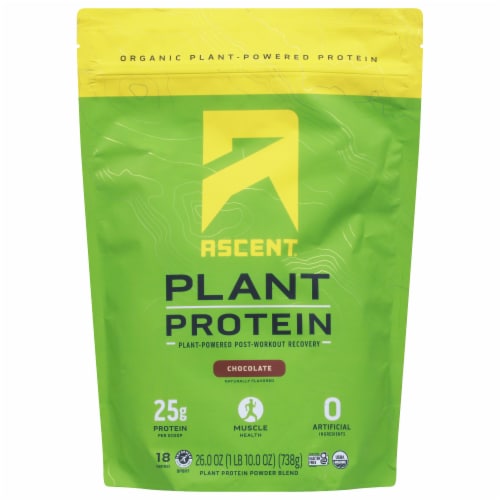 Ascent® Chocolate Plant Protein Powder Blend Perspective: front