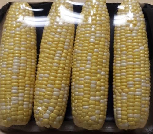 Corn Tray Perspective: front