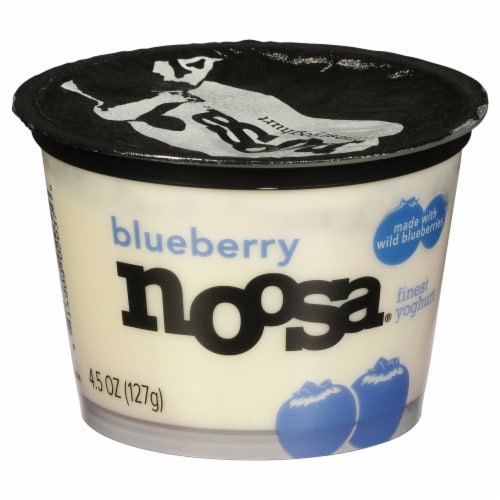 Noosa Blueberry Yogurt Perspective: front