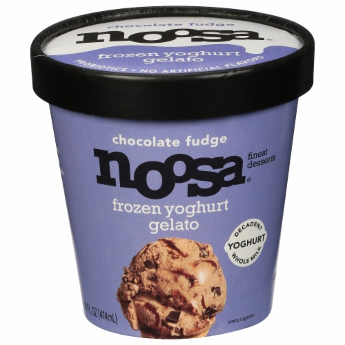 Noosa Chocolate Fudge Frozen Yoghurt Gelato Perspective: front