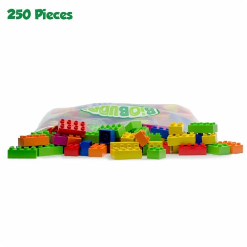250 pcs BiOBUDDi Assorted Blocks Set Perspective: front
