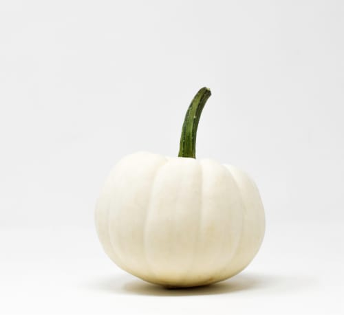 Pumpkin Patch Pals Casper White Ornamental Pumpkin - Each Perspective: front