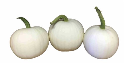 Ceramic Heirloom Pumpkin with Metal Stem | Mariposa