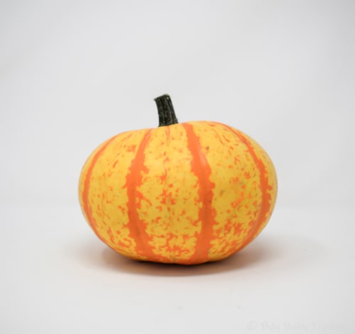 Pumpkin Patch Pals Royalty Ornamental Pumpkin Perspective: front
